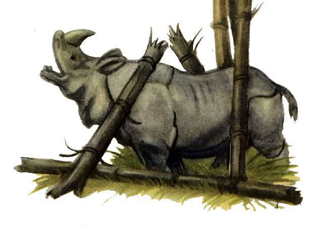 Злой носорог, рисунок иллюстрация