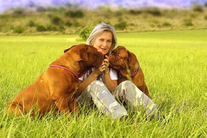 Женщина на лугу с двумя бордоскими догами, фото фотография собаки