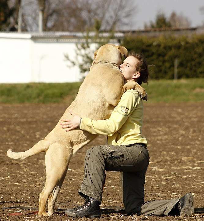 Женщина обнимает дога, фото фотография собаки