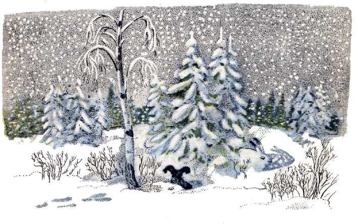 Заяц прячется в белом снегу, рисунок иллюстрация