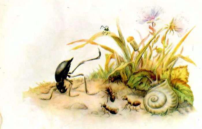 Жук отбивается от муравьев, рисунок иллюстрация