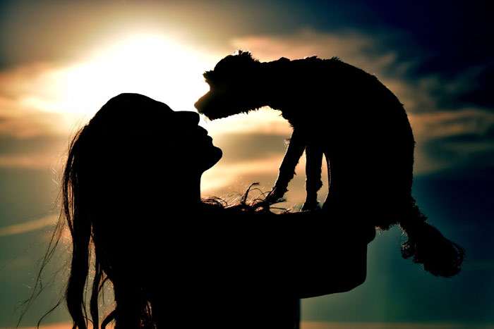 Девушка и щенок на фоне заката, фото фотография собаки