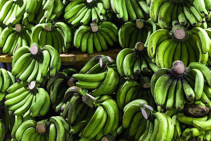 Зеленые бананы, фото фотография фрукты