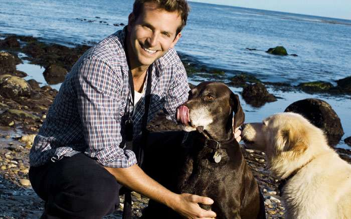 Мужчина с двумя собаками на берегу моря, фото фотография собаки