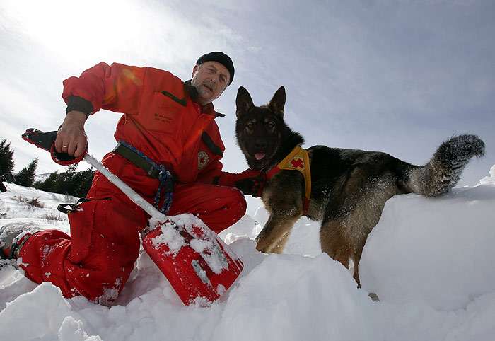 Собака нашла человека под снегом, проводник откапывает человека, фото фотография собаки