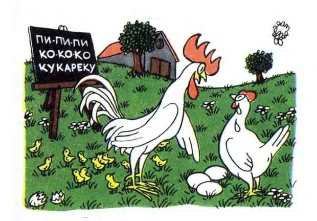 Петух и курица, рисунок иллюстрация