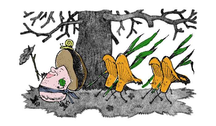 Гриб-боровик с груздями идет на войну с ягодами, рисунок иллюстрация