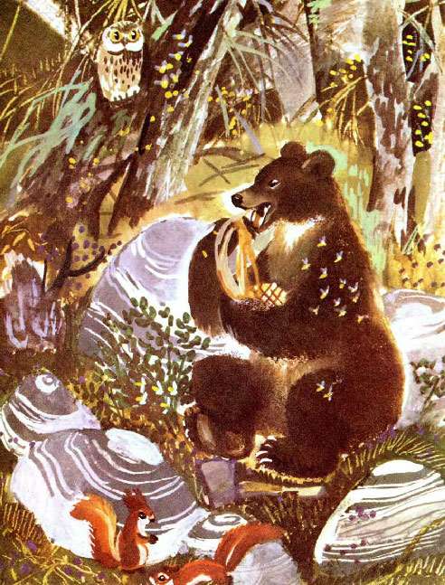 Медведь лакомится медом, рисунок иллюстрация