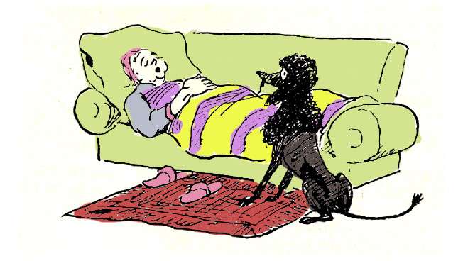 Старушка спит на диване, а пудель - на полу, рисунок иллюстрация