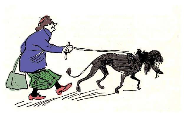 Старушка гуляет с пуделем, рисунок иллюстрация