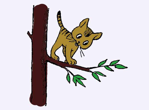 Котенок забрался на дерево, рисунок иллюстрация