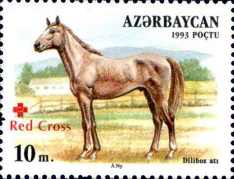 Делибозская лошадь, делибоз, дильбоз, фото фотография