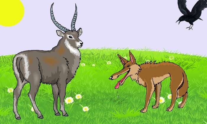 Шакал решил подружиться с антилопой, рисунок иллюстрация
