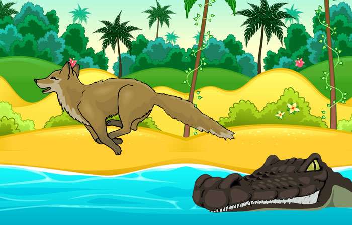 Молодой шакал убегает от крокодила, рисунок иллюстрация