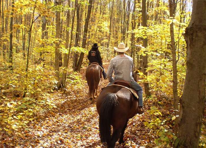 Всадники на лошадях едут по осеннему лесу, фото фотография