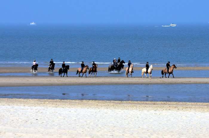 Лошади с всадниками скачут по берегу моря, фото фотография