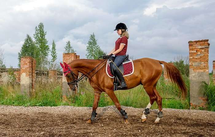 Девушка-всадник на рыжей лошади, фото фотография