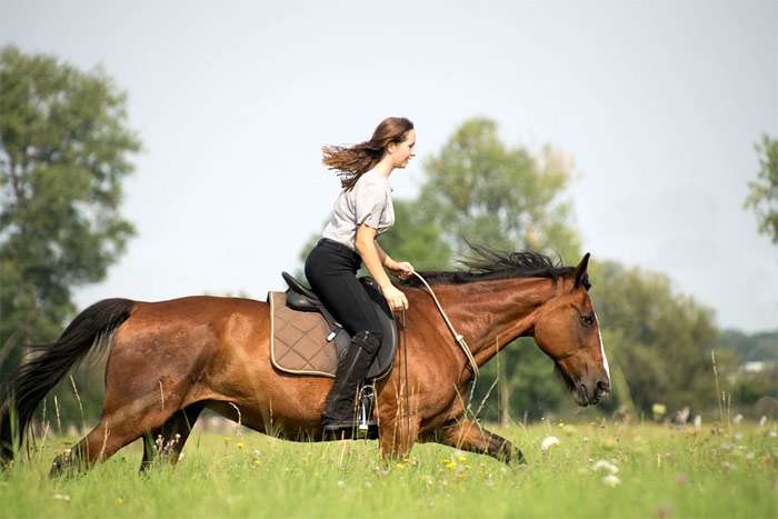 Девушка наездница скачет на гнедой лошади, фото фотография