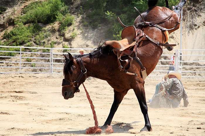 Брыкающаяся лошадь, лошадь скинувшая всадника с седла, фото фотография