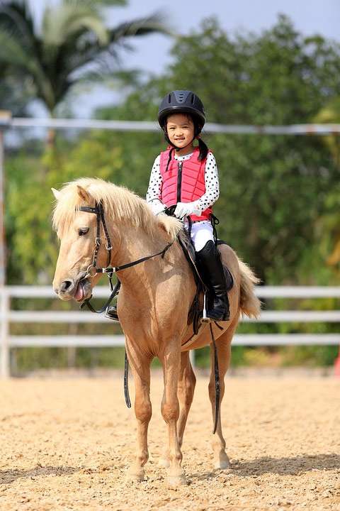Маленькая девочка катается на пони, фото лошади фотография