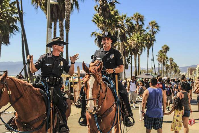 Конная полиция во Флориде, полицейские на лошадях, фото фотография