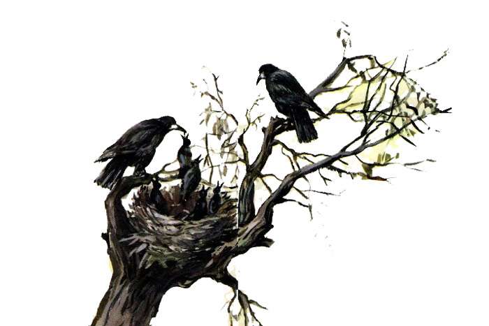 Грач в своем гнезде с семьей, рисунок иллюстрация