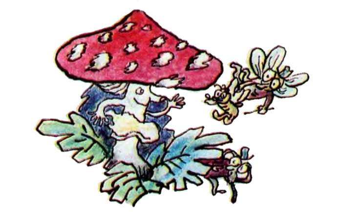 Для детей: стихи про грибы мухоморы