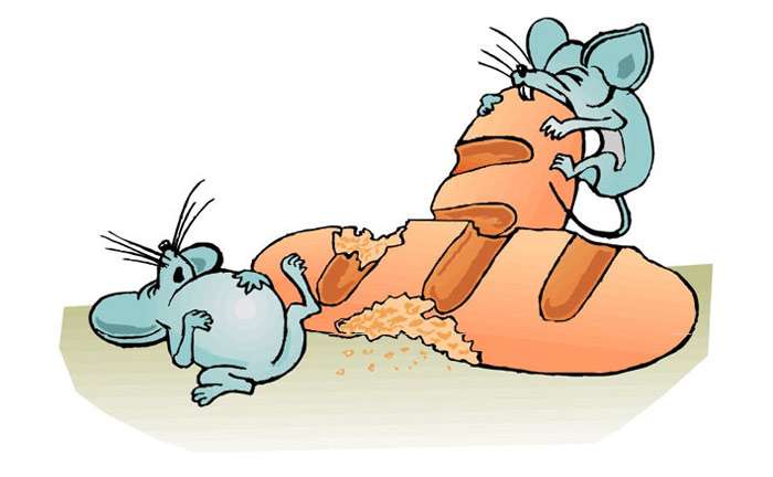 Мыши грызут хлеб батон, рисунок иллюстрация