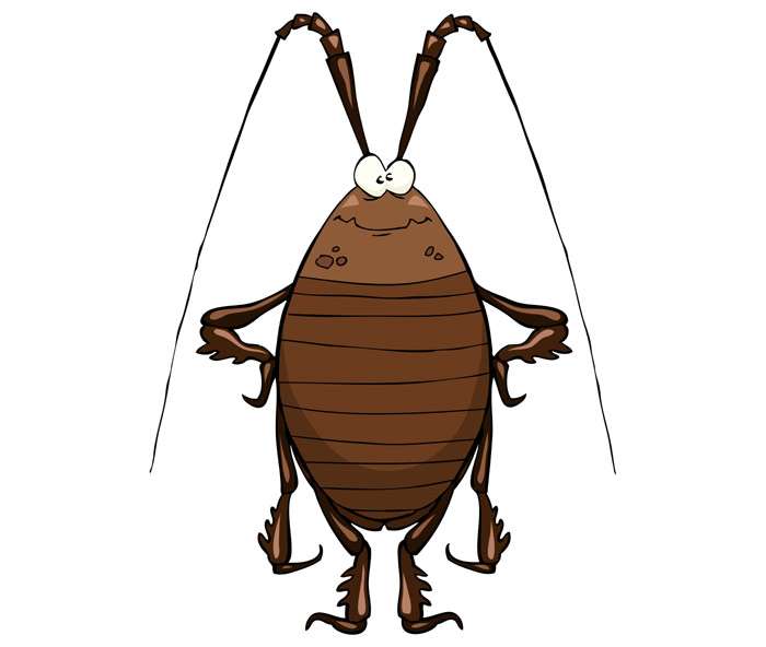 Забавный таракан, рисунок иллюстрация