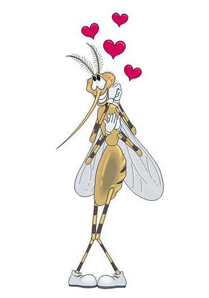 Влюбленный комар, рисунок иллюстрация
