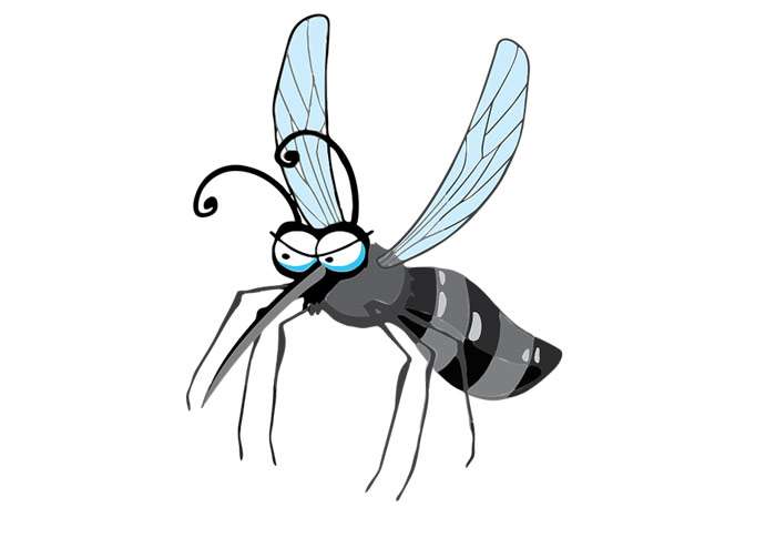 Злой комар, рисунок иллюстрация