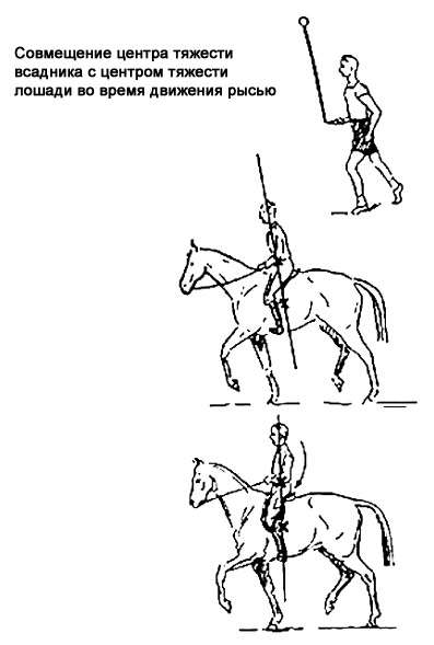 Совмещение центра тяжести всадника с центром тяжести лошади во время движения рысью