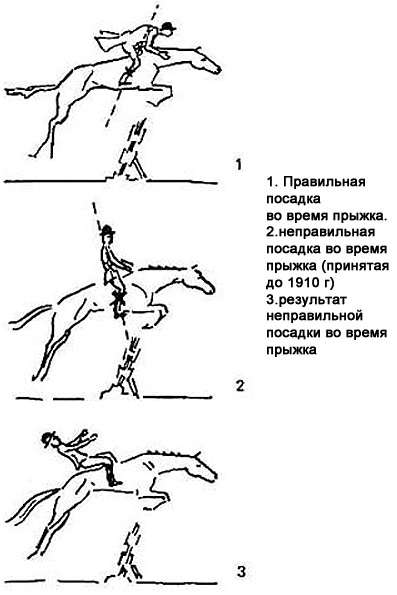 Правильная посадка всадника во время прыжка лошади