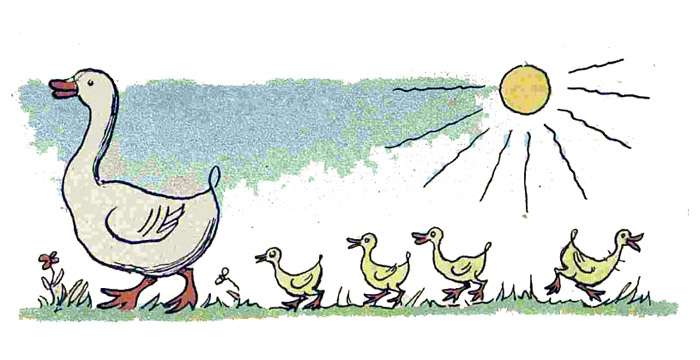 Гусыня с гусятами, рисунок иллюстрация
