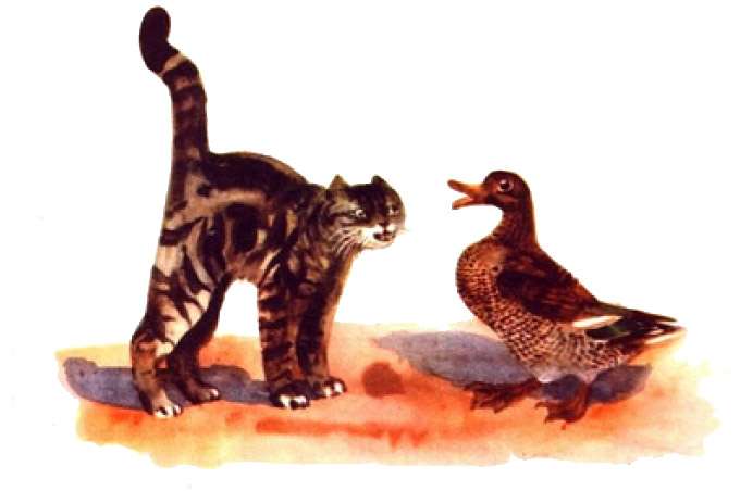 Кошка и Пестрая уточка, рисунок иллюстрация