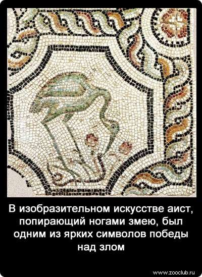 В изобразительном искусстве аист, попирающий ногами змею, был одним из ярких символов победы над злом.