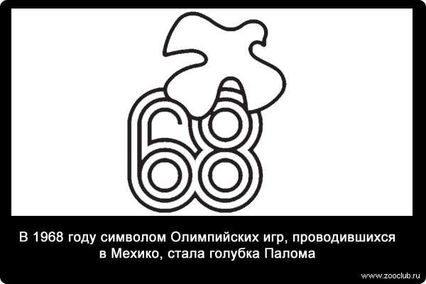 В 1968 году символом Олимпийских игр, проводившихся в Мехико, стала голубка Палома. 