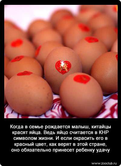 Когда в семье рождается малыш, китайцы красят яйца. Ведь яйцо считается в КНР символом жизни. И если окрасить его в красный цвет, как верят в этой стране, оно обязательно принесет ребенку удачу.