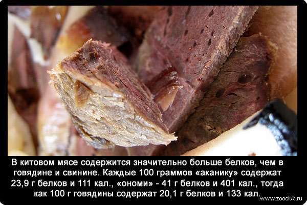 В китовом мясе содержится значительно больше белков, чем в говядине и свинине. Каждые 100 граммов «аканику», например, содержат 23,9 грамма белков и 111 калорий, «ономи» - 41 грамм белков и 401 калорию, тогда как 100 граммов говядины содержат 20,1 грамма белков и 133 калории, то же количество свинины - 21,4 и 145, мясо тунца - 20,9 грамма белков и 321 калорию соответственно.