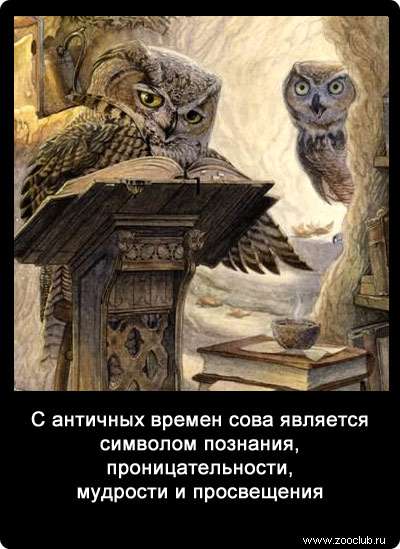 С античных времен сова является символом познания, проницательности, мудрости и просвещения.