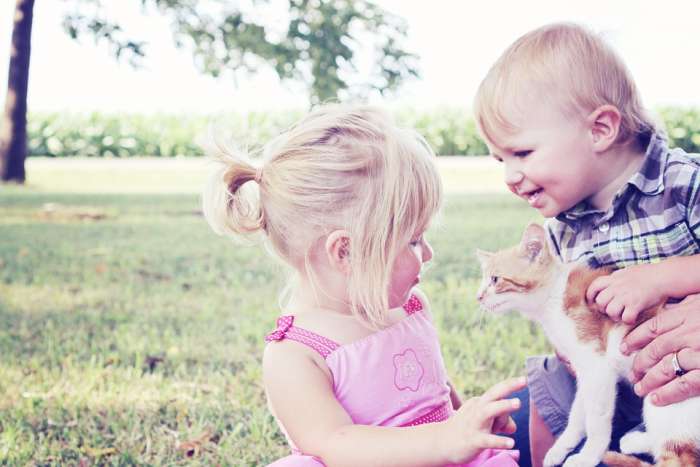 Мальчик и девочка играют с котенком, фото фотография