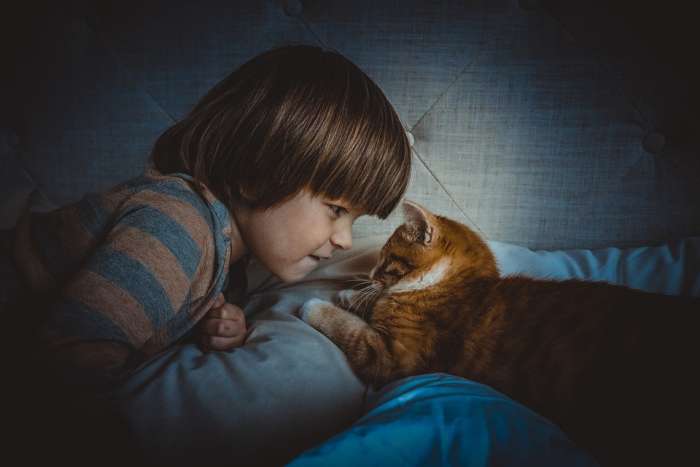 Мальчик и рыжий кот, фото фотография