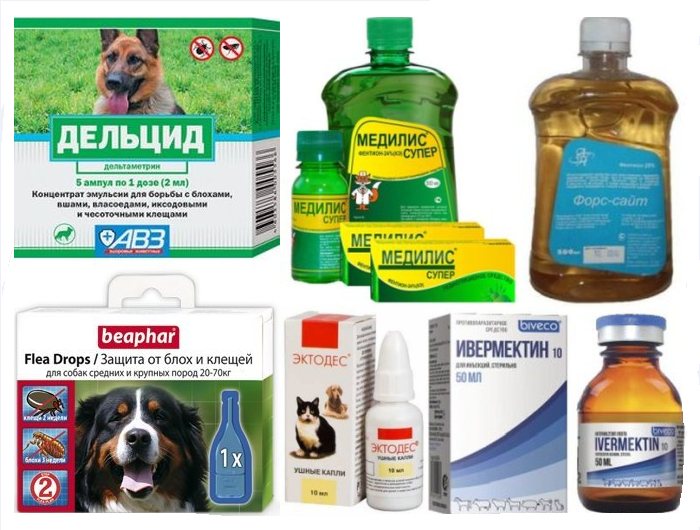 Препараты от паразитов для кошек и собак на основе ивермектина, фентиона, фото фотография