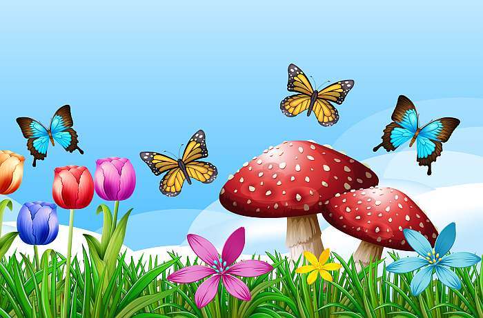 Поле с бабочками и грибами мухоморами, клипарт рисунок иллюстрация