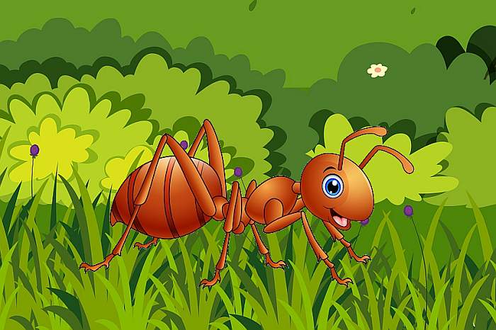 Веселый муравей, рисунок картинка иллюстрация