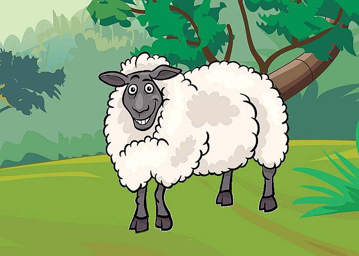Улыбающаяся овца, рисунок иллюстрация