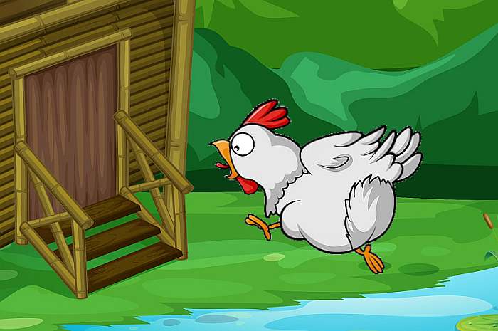 Курица бежит торопиться домой, рисунок иллюстрация