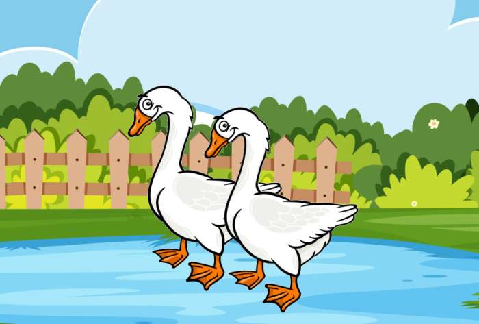 Два белых гуся купаются в луже, рисунок иллюстрация