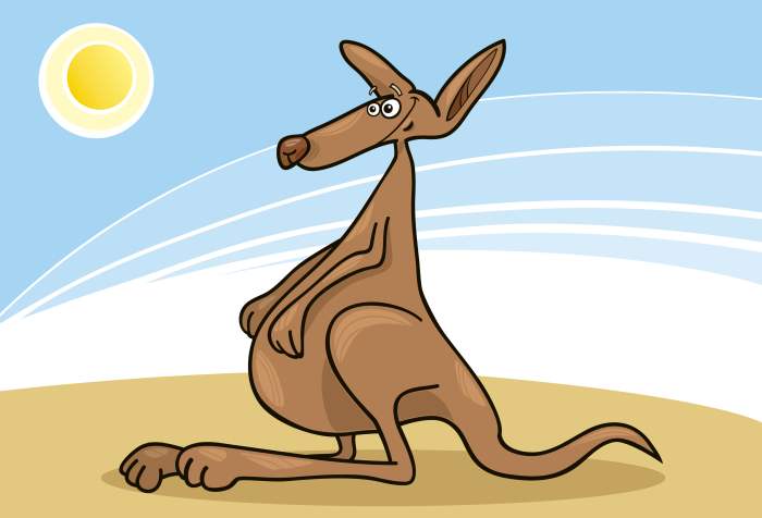 Счастливый кенгуру, рисунок иллюстрация