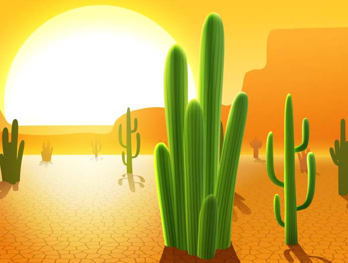 Кактусы в пустыне прериях, рисунок иллюстрация